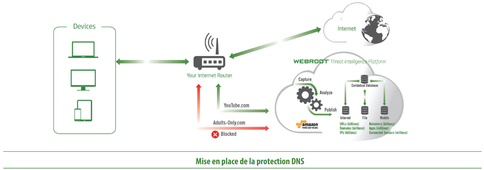 Protection DNS